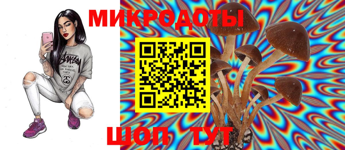 Псилоцибиновые грибы ЛСД Муром
