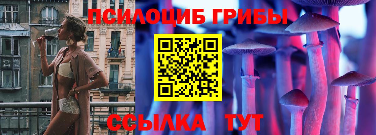 Муром  Псилоцибиновые грибы прущие грибы  Вход с VPN 